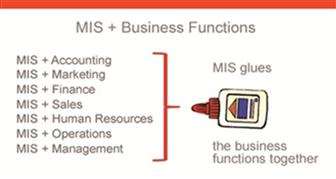 MIS+BusinessFunctions