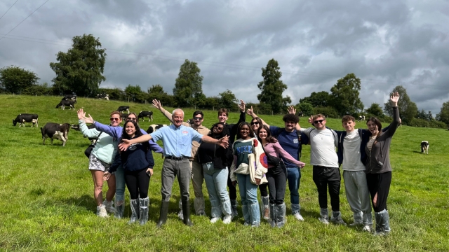 Ireland - Marketing Study Abroad