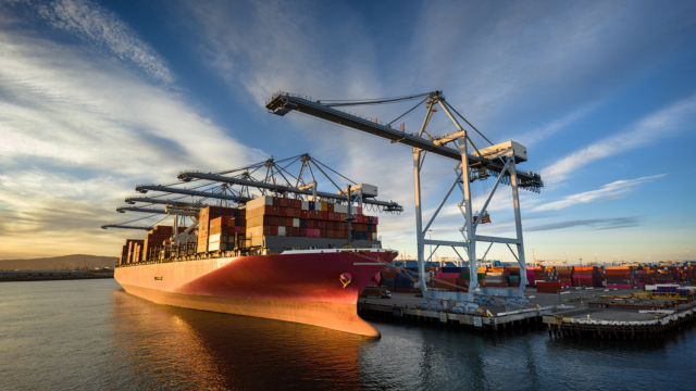 Port Everglades Survey