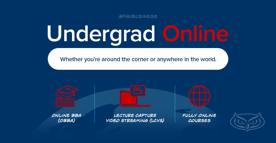 Graphic explaining Online undergrad BBA opportunities